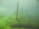 Thumbs/tn_Clear Lake 014.jpg